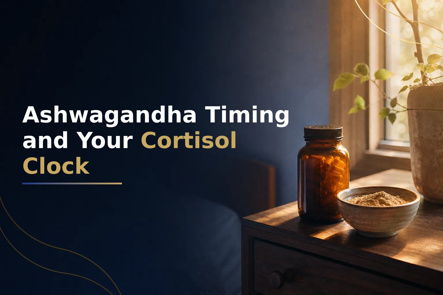 Why Ashwagandha Before Bed vs. Morning: What Cortisol Timing Actually Tells Us