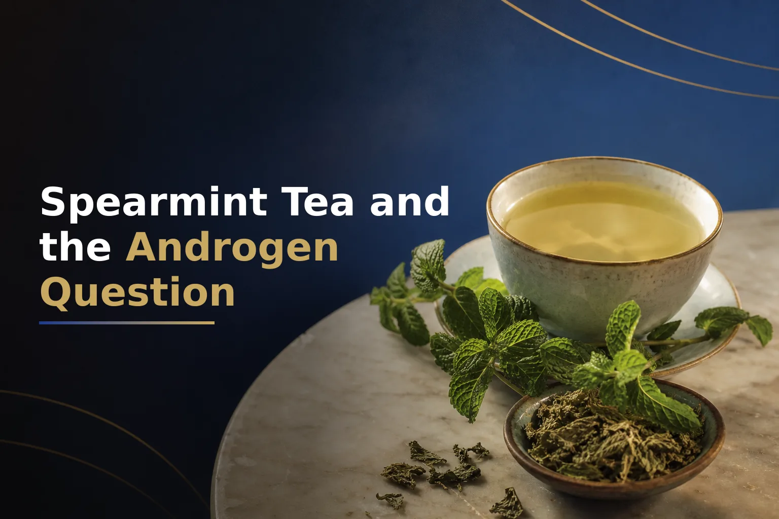 Spearmint Tea and Hormonal Balance: What the Clinical Evidence Actually Shows About Androgens