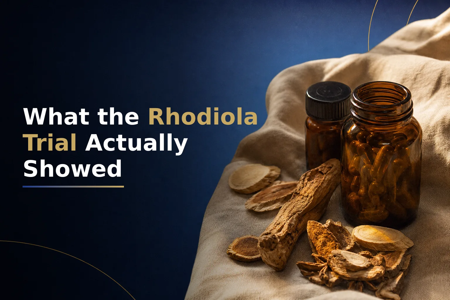 Rhodiola and Energy Crashes: What One Clinical Trial Actually Showed vs. What Marketing Claims