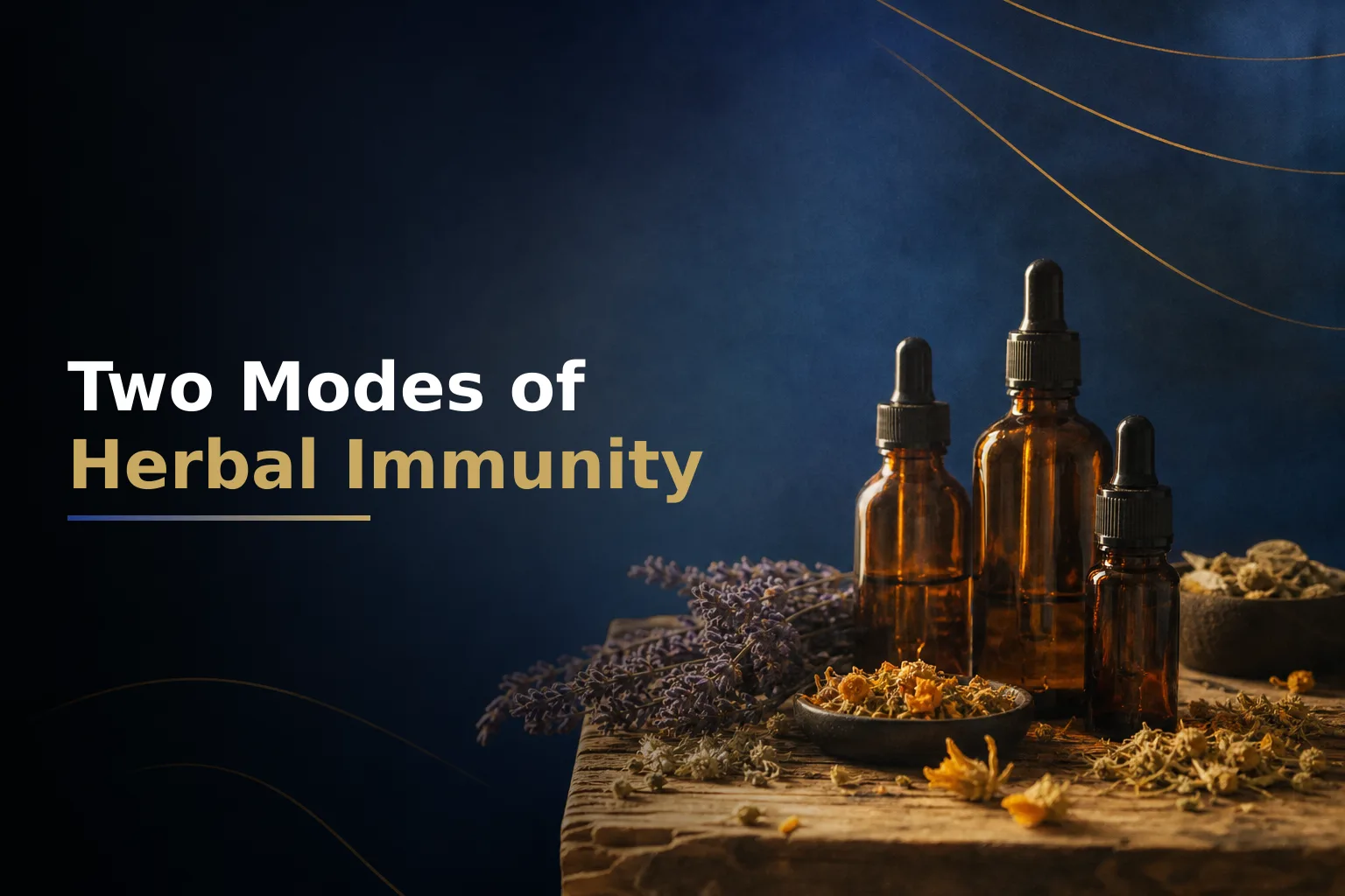 Two Modes of Herbal Immune Dosing and When to Switch