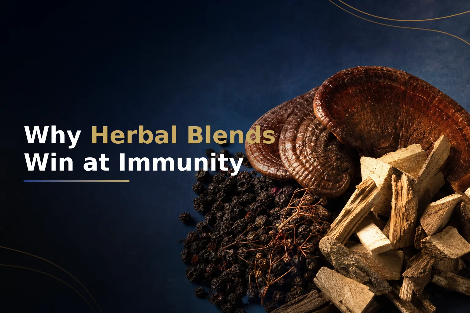 Why Herbal Blends Outperform Single Herbs for Immunity