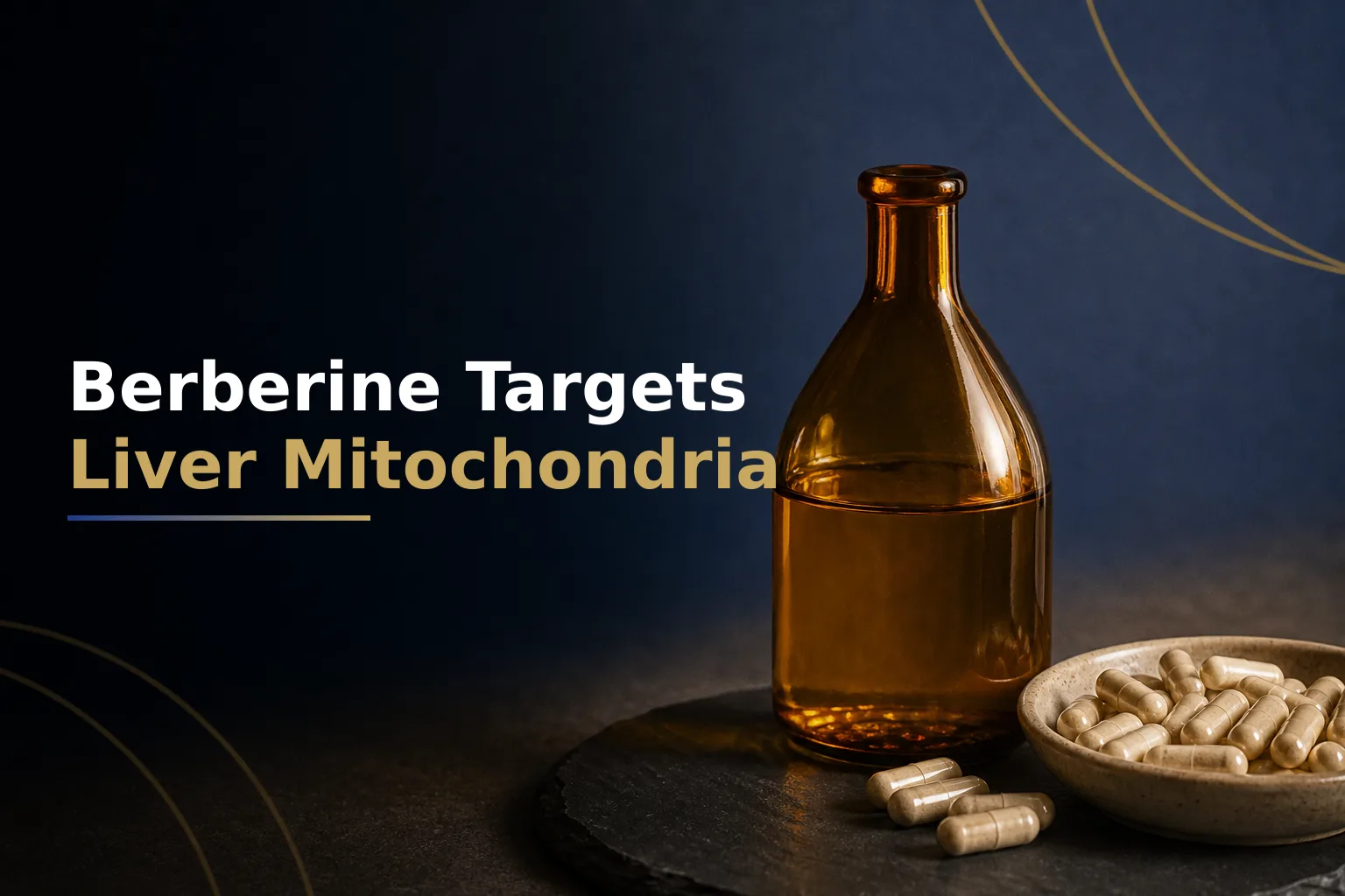 Berberine's Liver Role Begins at the Mitochondria
