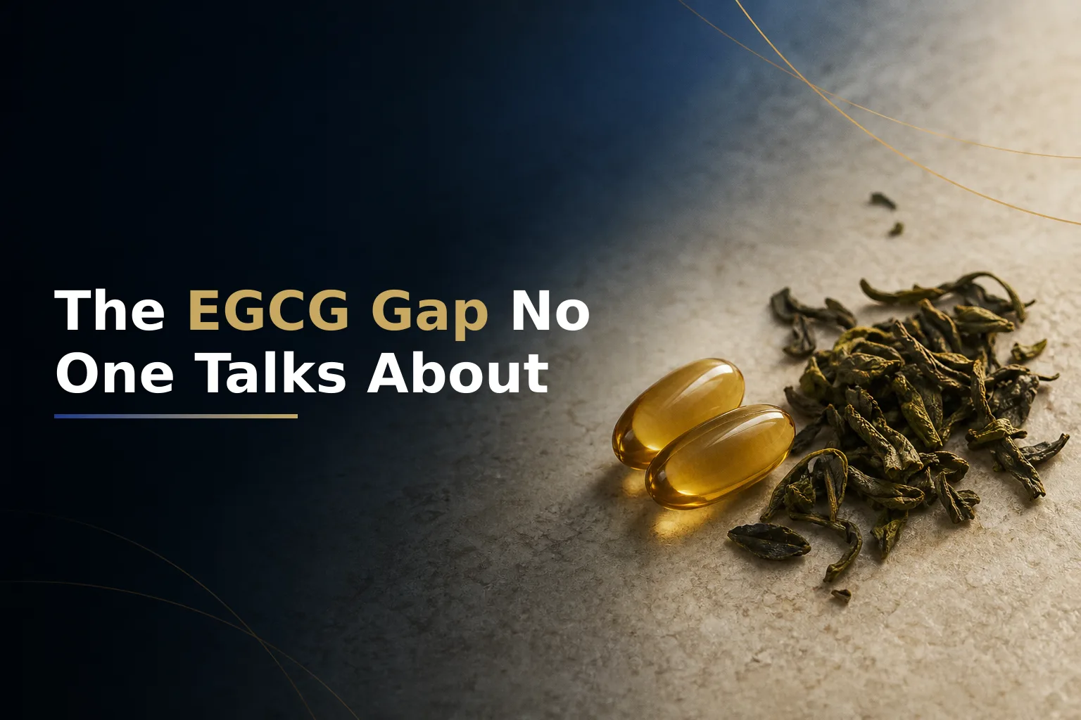 Why Green Tea Extract Beats Loose Leaf for EGCG Delivery
