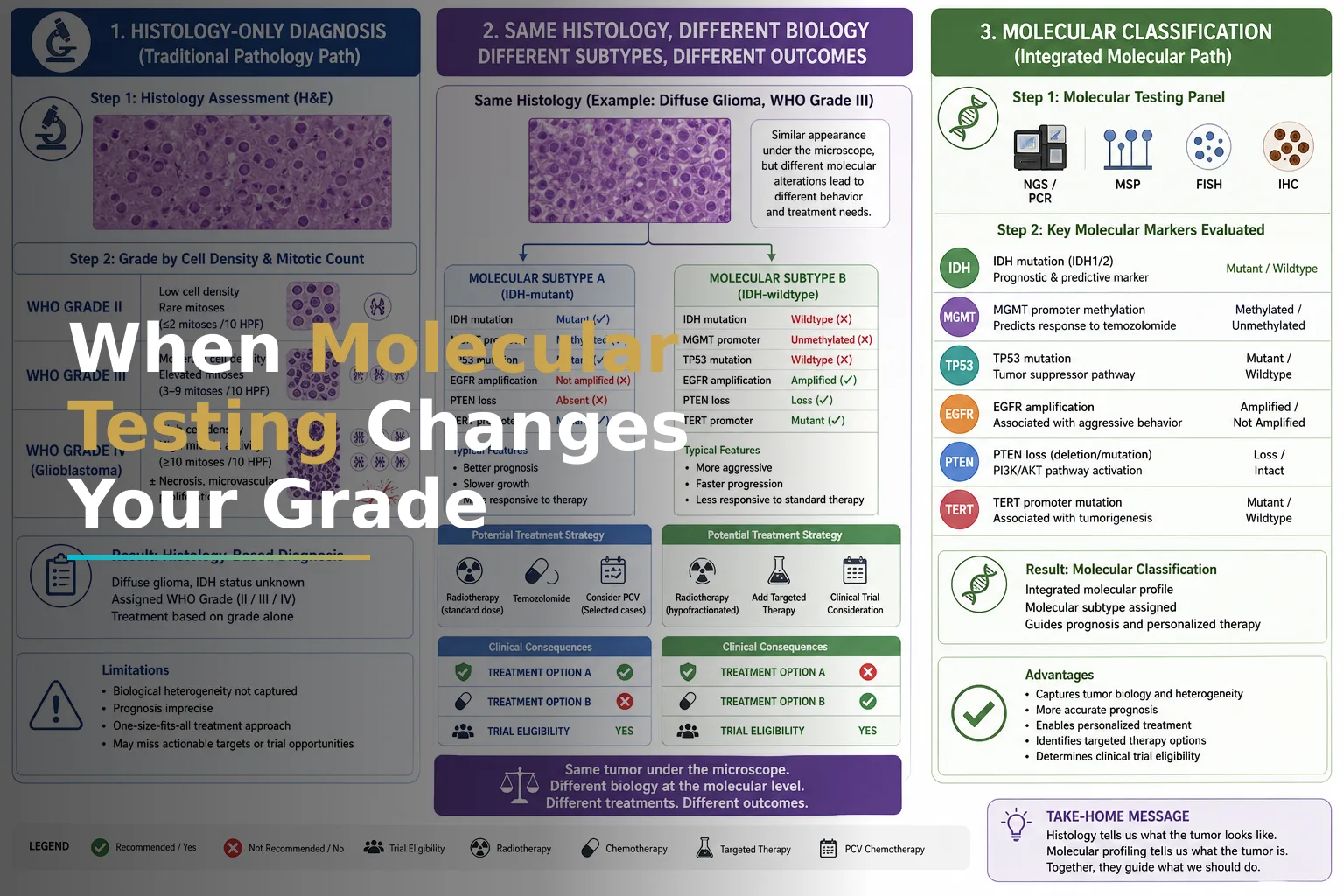Why Your Glioblastoma Grade Might Change After Molecular Testing: How Molecular Classification Reveals Treatment Options Your Histology Report Missed